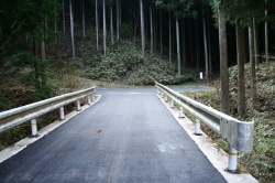 d0055236_11411650.jpg