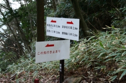 d0055236_13584659.jpg