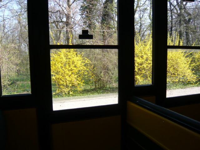 d0044239_20161668.jpg