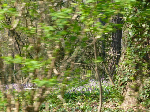 d0044239_20184398.jpg