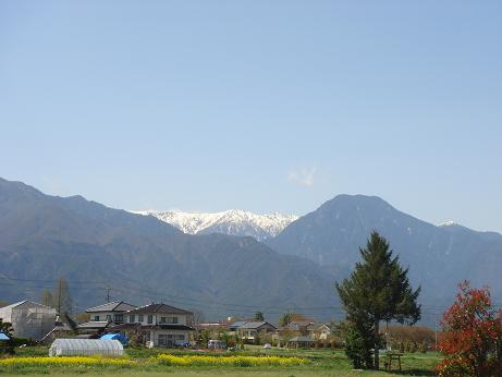 春色の風景_a0014840_16474950.jpg