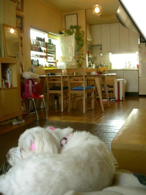 f0181345_14412793.jpg
