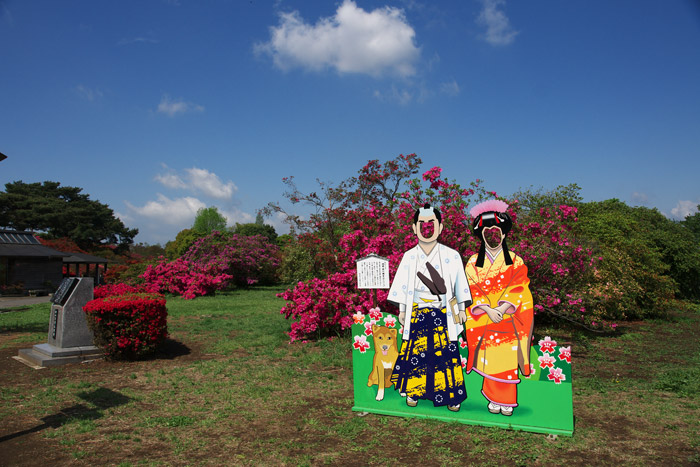 つつじが岡公園　【2009年4月22日】_a0003746_17233771.jpg