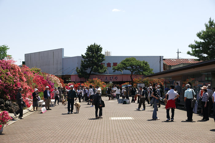 つつじが岡公園　【2009年4月22日】_a0003746_17245172.jpg