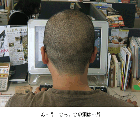 f0099247_2211172.gif