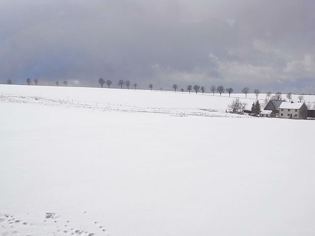 雪景色のなか、プラハへ行こう　（２）_c0011649_630051.jpg