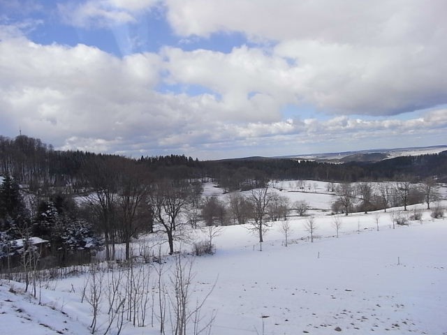 雪景色のなか、プラハへ行こう　（２）_c0011649_645891.jpg