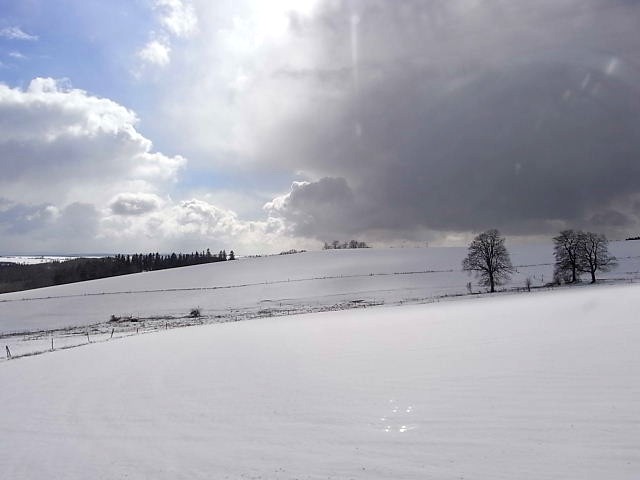 雪景色のなか、プラハへ行こう　（２）_c0011649_674165.jpg