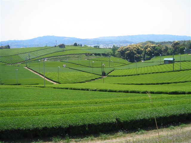 a0027555_16281369.jpg