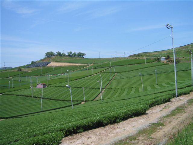 a0027555_16283291.jpg