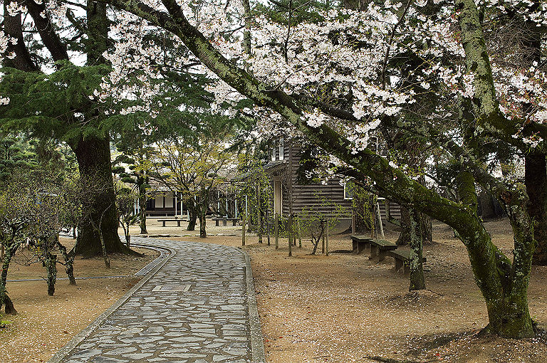 桜の山口ぶらり旅_f0205360_16564952.jpg