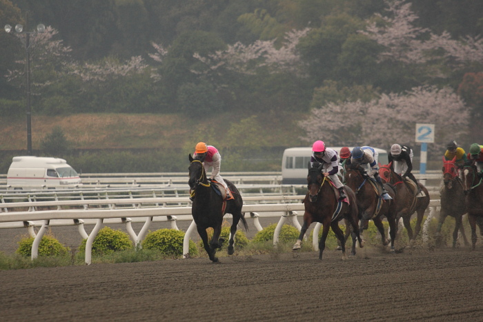 2009年4月4日（土） 高知競馬 3R E2_a0077663_1913394.jpg