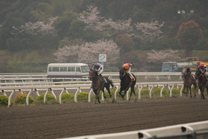 2009年4月4日（土） 高知競馬 3R E2_a0077663_1914130.jpg