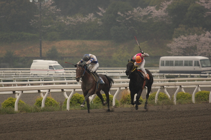 2009年4月4日（土） 高知競馬 3R E2_a0077663_1942992.jpg
