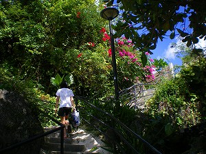 b0056570_044170.jpg