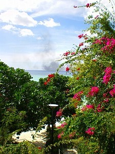 b0056570_0443795.jpg