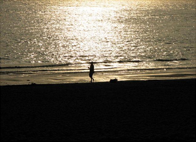 ｵﾘｰｳﾞ♥ 2009 Spring : 海と夕日*の遠足編_f0039379_1856068.jpg