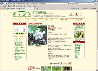 懐かしい島の味や植物や音は『ゆりどろ』で!!!_e0028387_237557.jpg