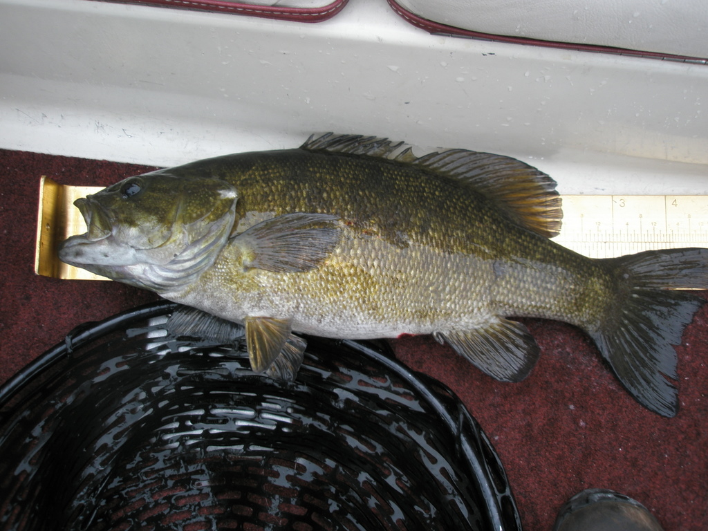 f0024887_93482.jpg