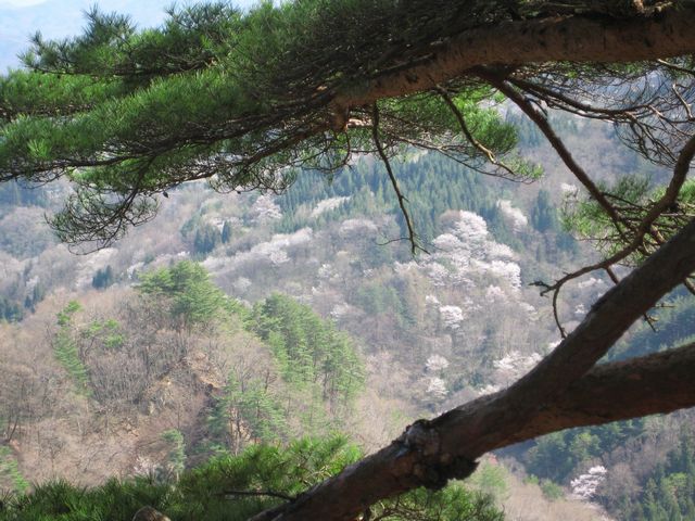 c0099395_89102.jpg