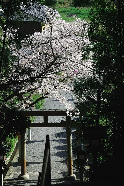 d0069495_22372443.jpg