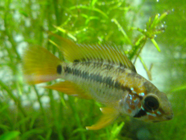 b0063999_94647.jpg