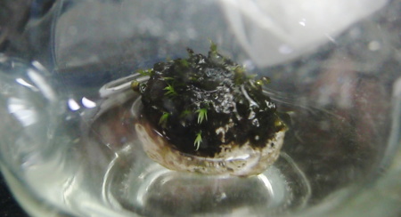c0147699_113850.jpg