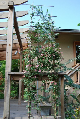 c0124100_18511520.jpg