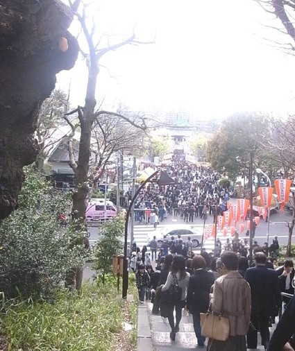 桜開花状況調査隊！上野恩賜公園。_e0043700_21292788.jpg