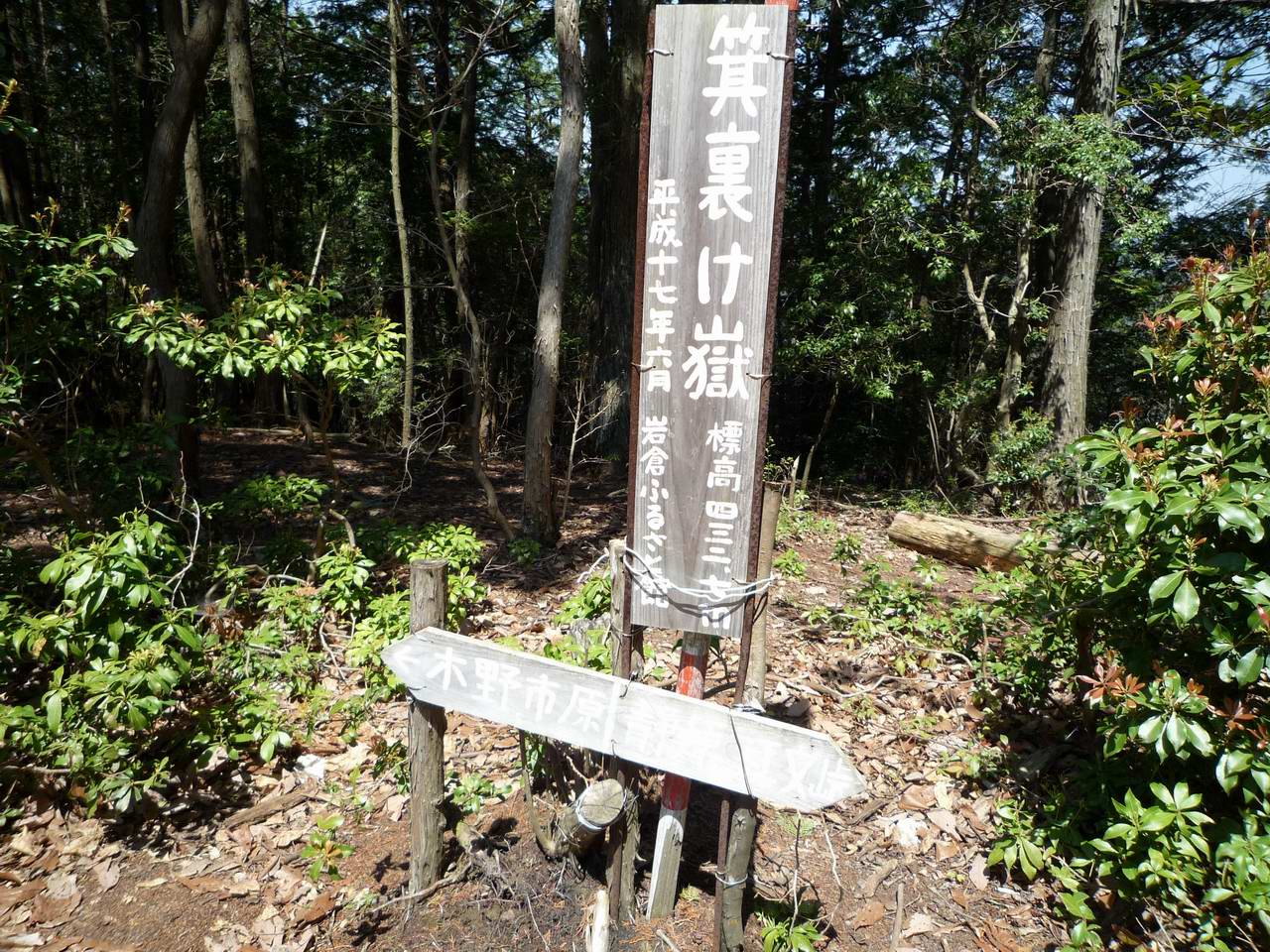 カタクリの花－京都岩倉・箕裏ヶ岳_e0110500_164463.jpg