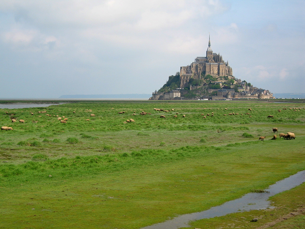 Le Mont Saint Michel 1_d0130303_1642686.jpg