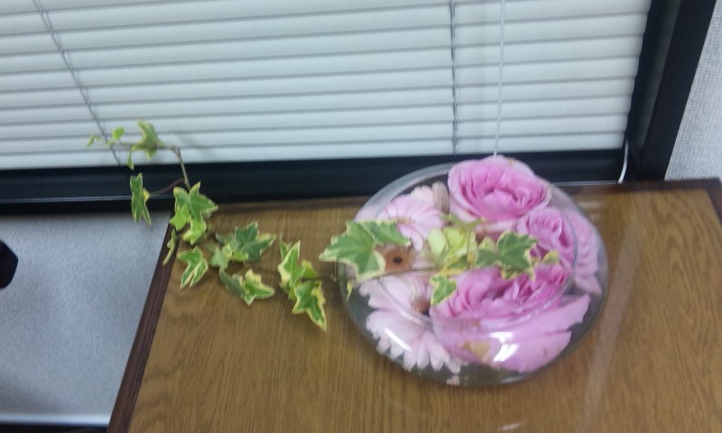 お花_d0116009_235536.jpg