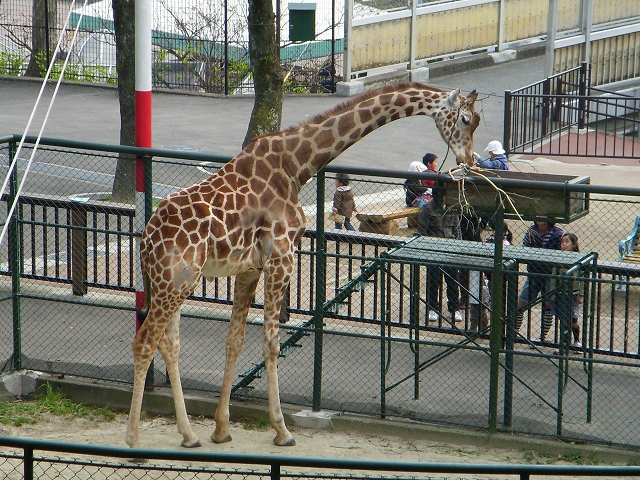 お蔵入りの写真 2009年1月―4月_d0116009_2425254.jpg
