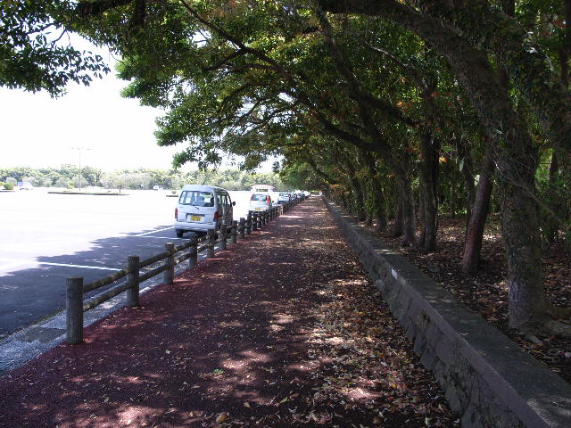 e0063309_11251727.jpg