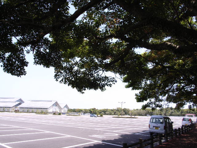 e0063309_1125513.jpg
