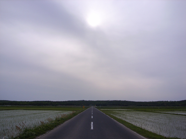 e0063309_11264119.jpg