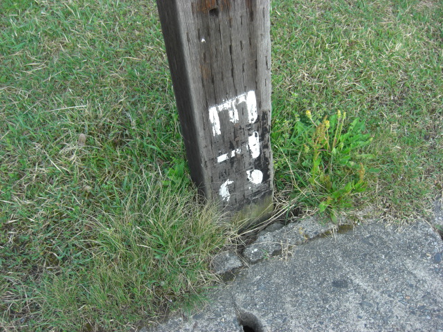 f0207410_12301345.jpg