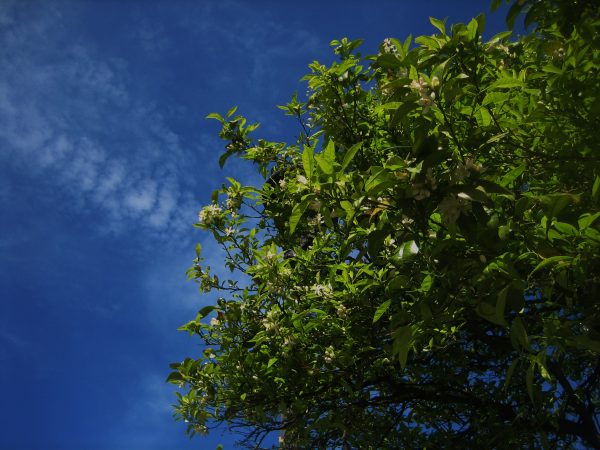 b0064411_3252572.jpg