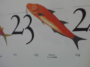 c0174711_8381159.jpg