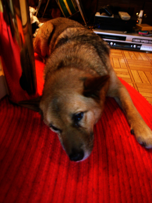 f0197414_13242172.jpg