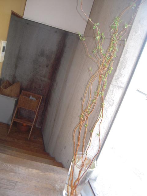 c0085916_2284528.jpg