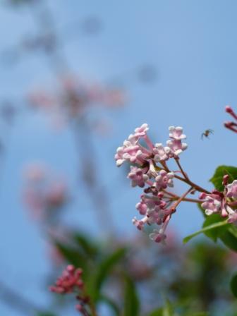 公園の人々_b0148617_359939.jpg