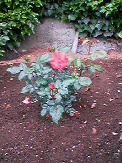 f0207320_22401328.jpg