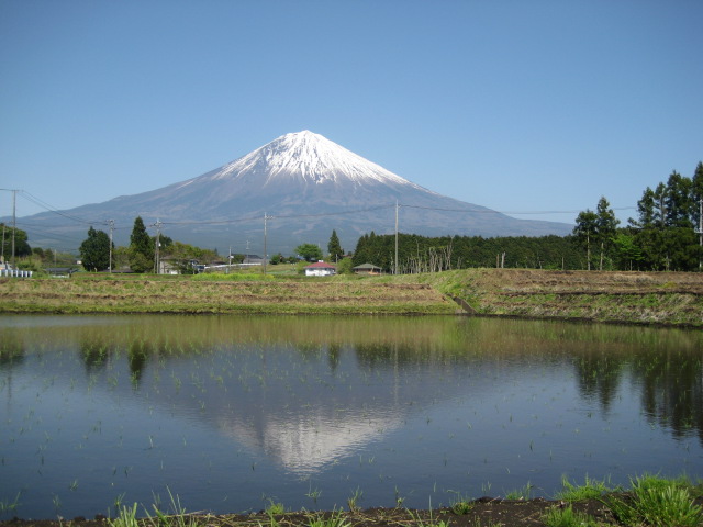 田んぼの中の逆さ富士_b0093221_3323572.jpg