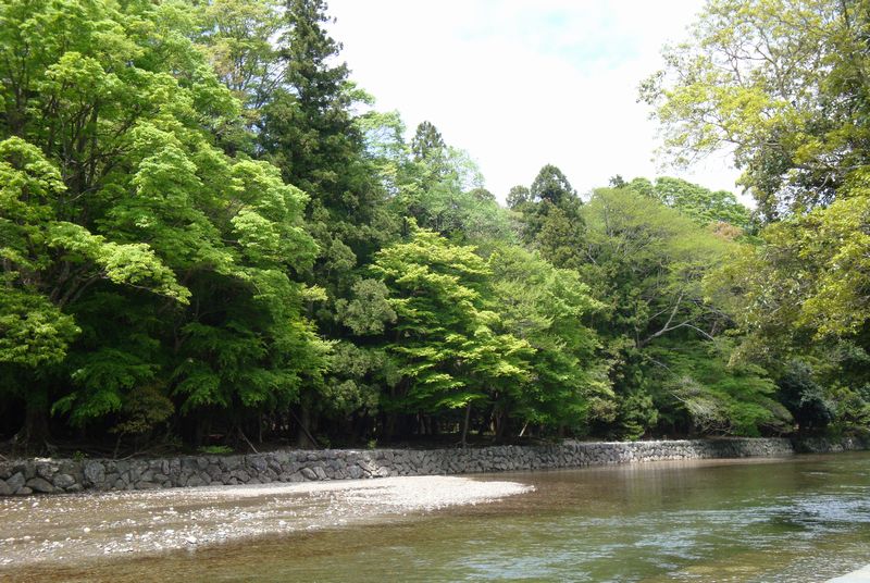 c0124021_22252495.jpg