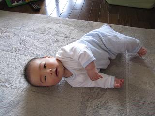 f0177125_17066.jpg