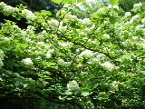 d0054930_2019935.jpg