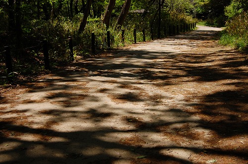 e0146031_1315671.jpg