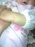 f0060733_8234239.jpg