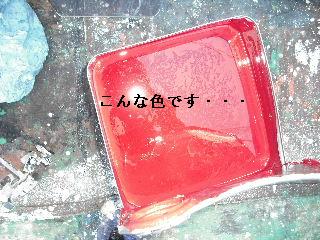 塗装工事2日め_f0031037_20555029.jpg